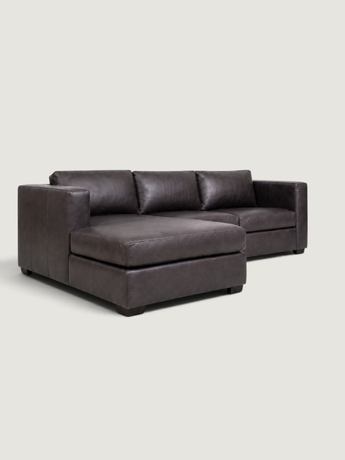 Zuri Daybed - Leather — angled view