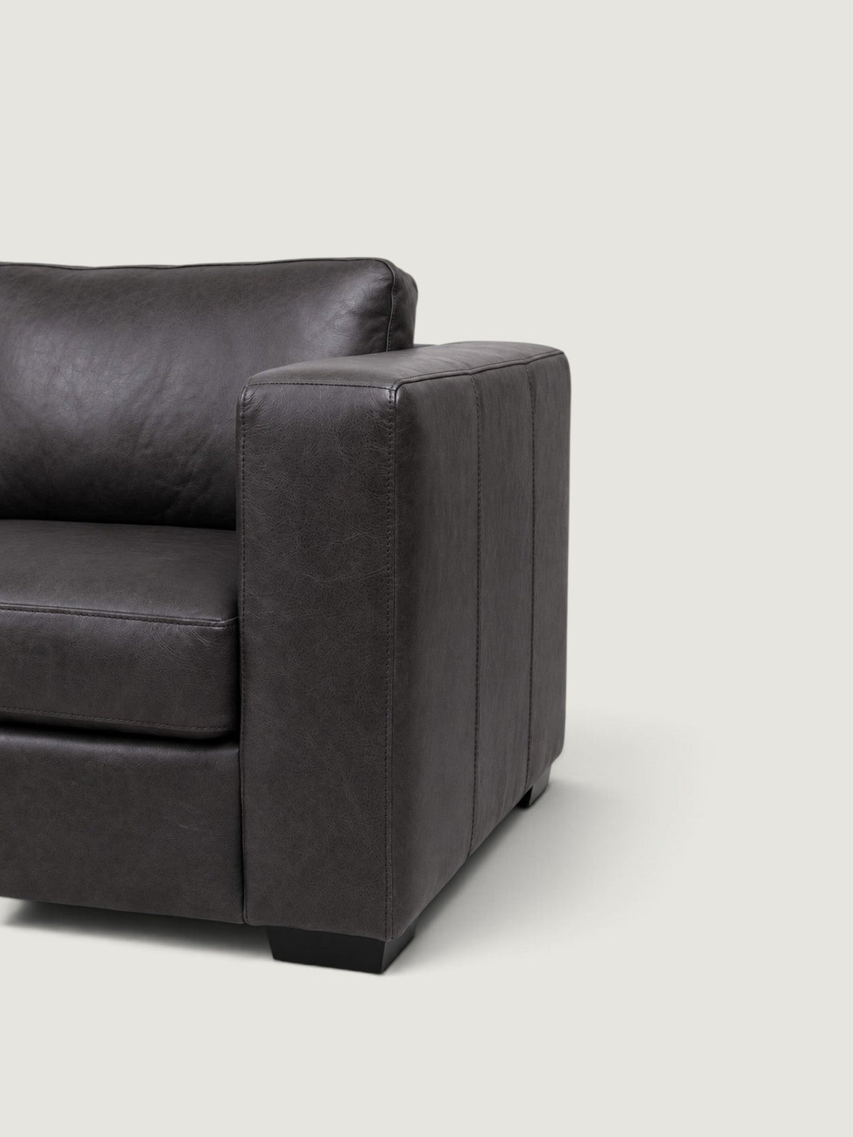Zuri Daybed - Leather — arm detail