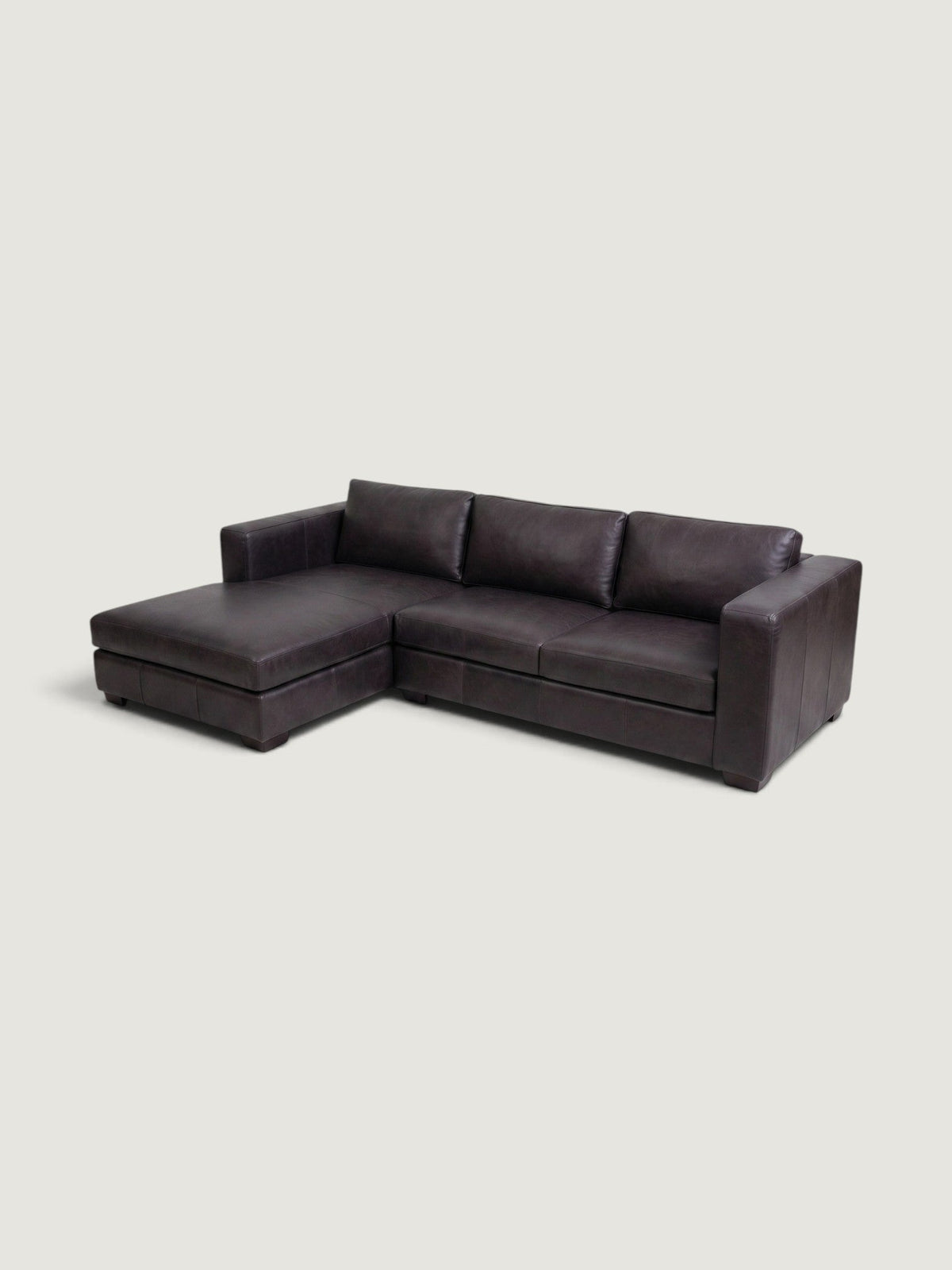 Zuri Daybed - Leather — wide angled view